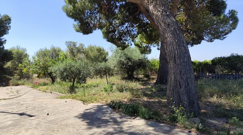 Foto 5 de Casa o chalet en venta en Mestrets, Castellón de la Plana / Castelló de la Plana