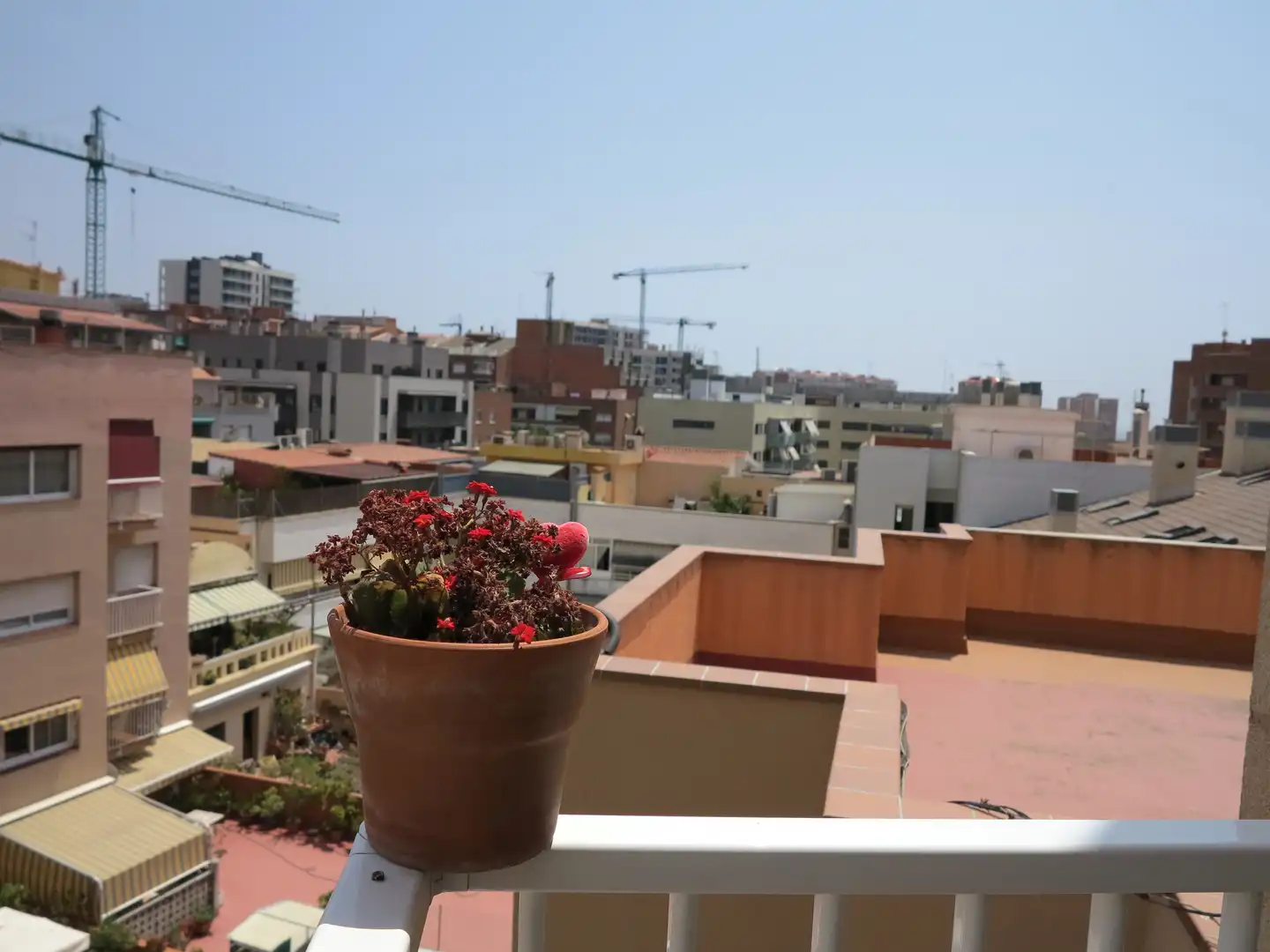 Appartement compact avec terrasse à vendre à de Cornellà, imagen 10