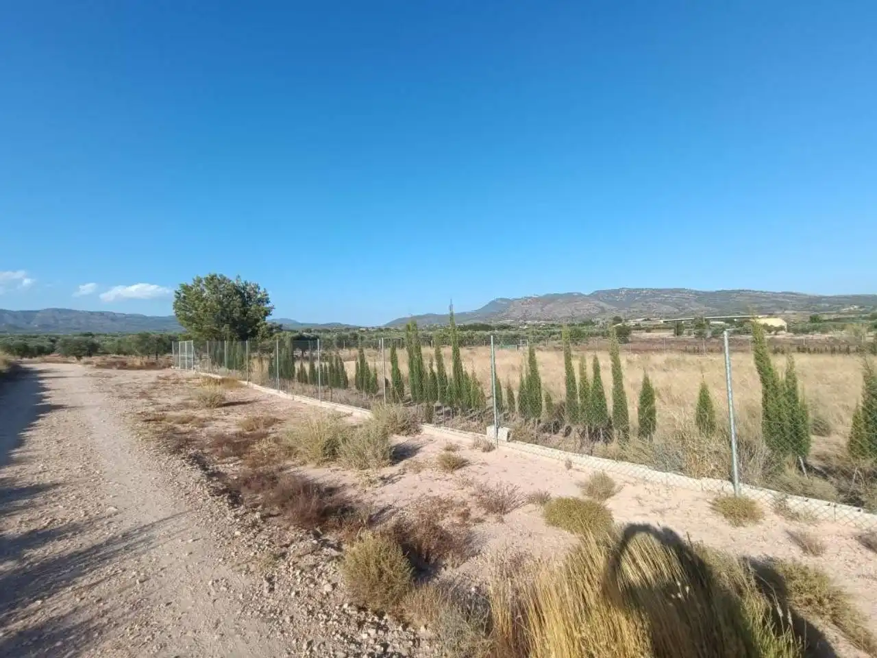 Residential land for sale in Sax, imagen 2