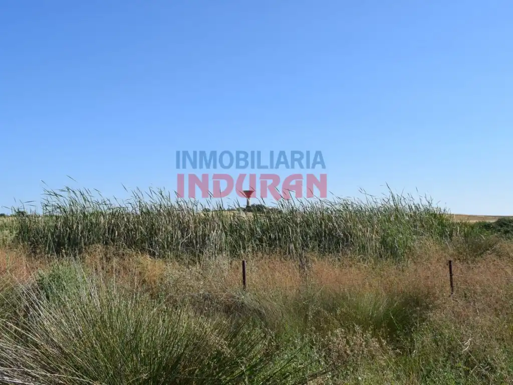 Haus zum Verkauf in Peraleda de la Mata, imagen 10