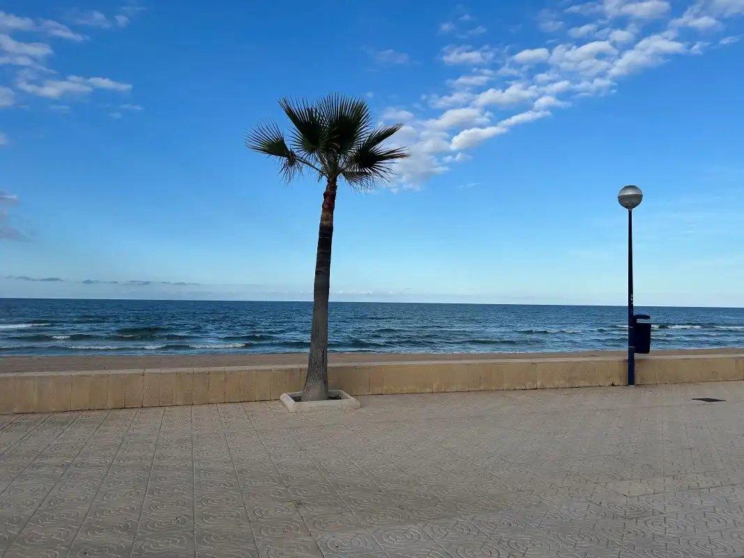 Exterior view of Apartments for sale in Miramar  with Air Conditioner, Terrace and Furnished