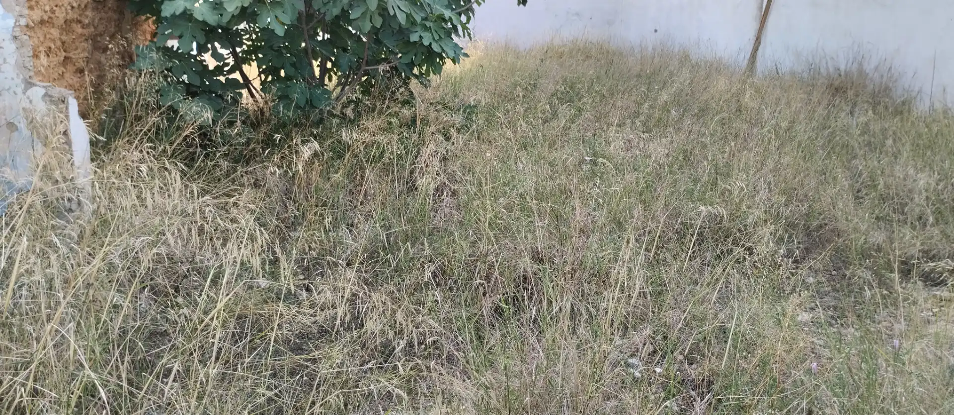 Terreni e lotti in vendita a Avenida de Andalucia, imagen 12