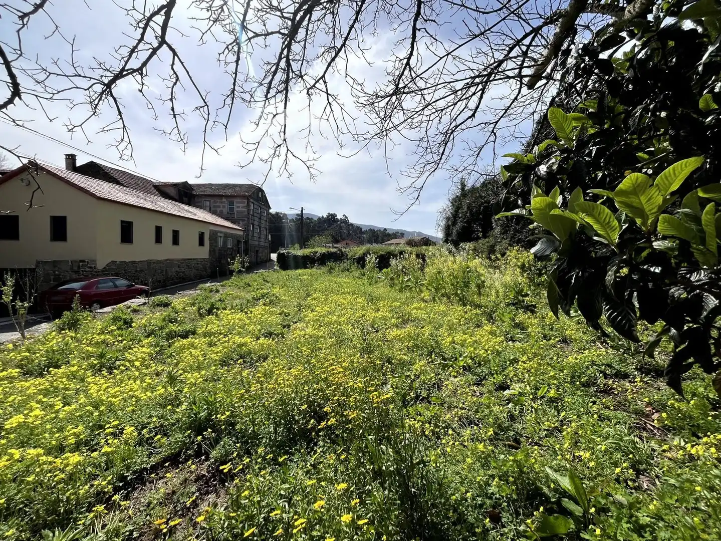 Rural land for sale in Arbo, imagen 6