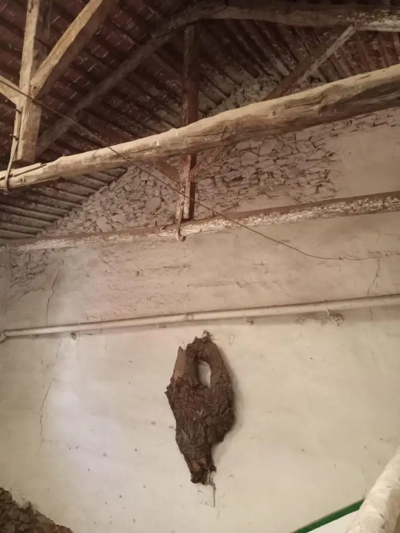 Maison à vendre à Santa Cruz de Mudela, imagen 86