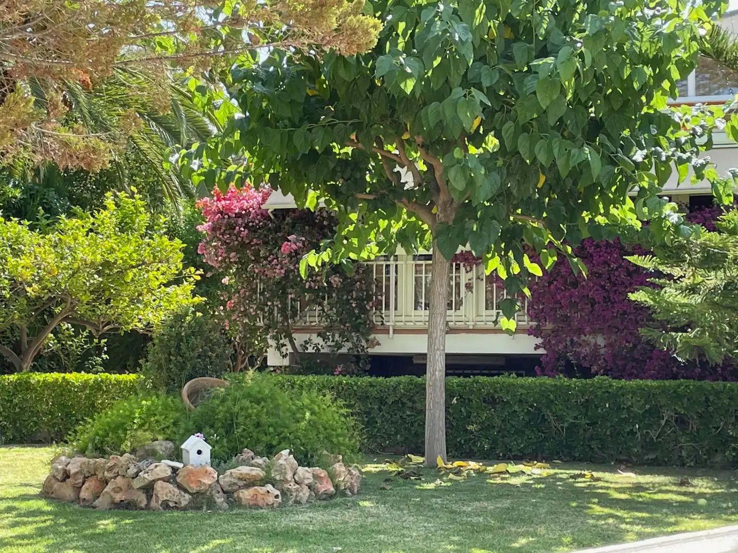 Jardín de Casa o chalet en venta en Petrer con Aire acondicionado, Calefacción y Jardín privado