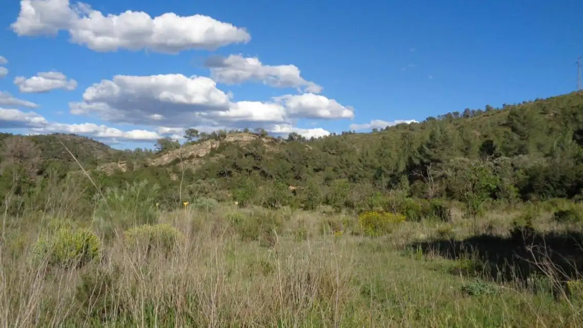 Terreno rustico in vendita a PESOLS, imagen 10