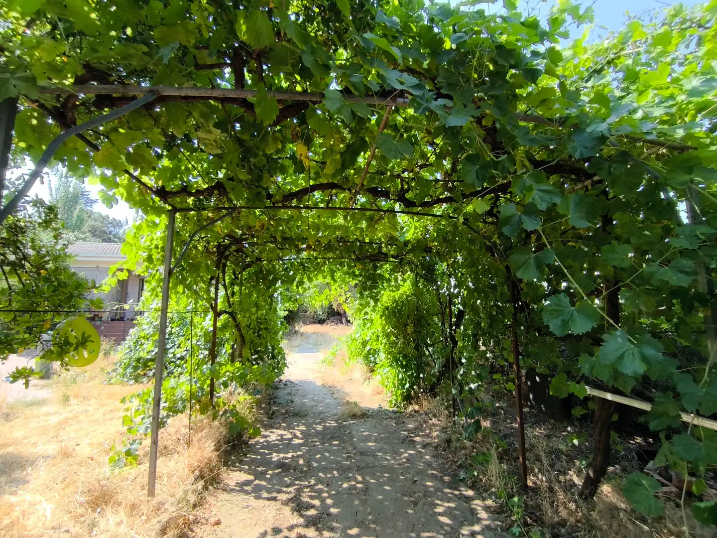Villa con giardino in vendita a Avenida Nápoles, imagen 6