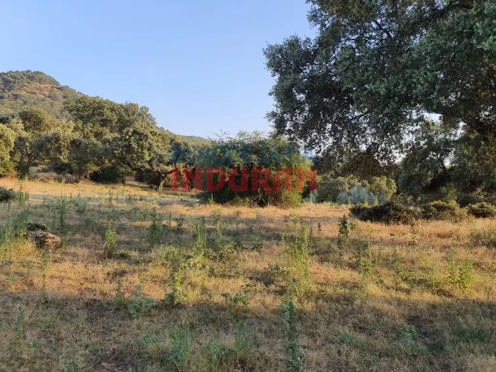 Casa en venda a Casas del Castañar, imagen 13