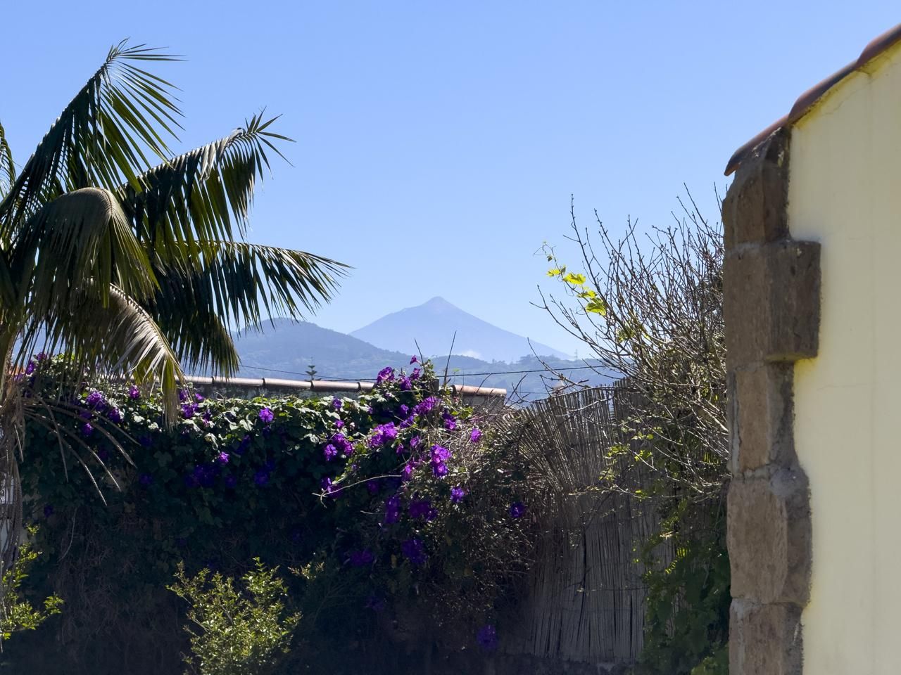 Jardí de Casa o xalet en venda en San Cristóbal de la Laguna amb Jardí privat, Terrassa i Traster