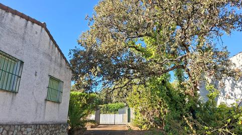 Photo 5 of House or chalet for sale in Urbanizacion las Nieves (zona las Pajanosas - Guil, Guillena pueblo, Sevilla