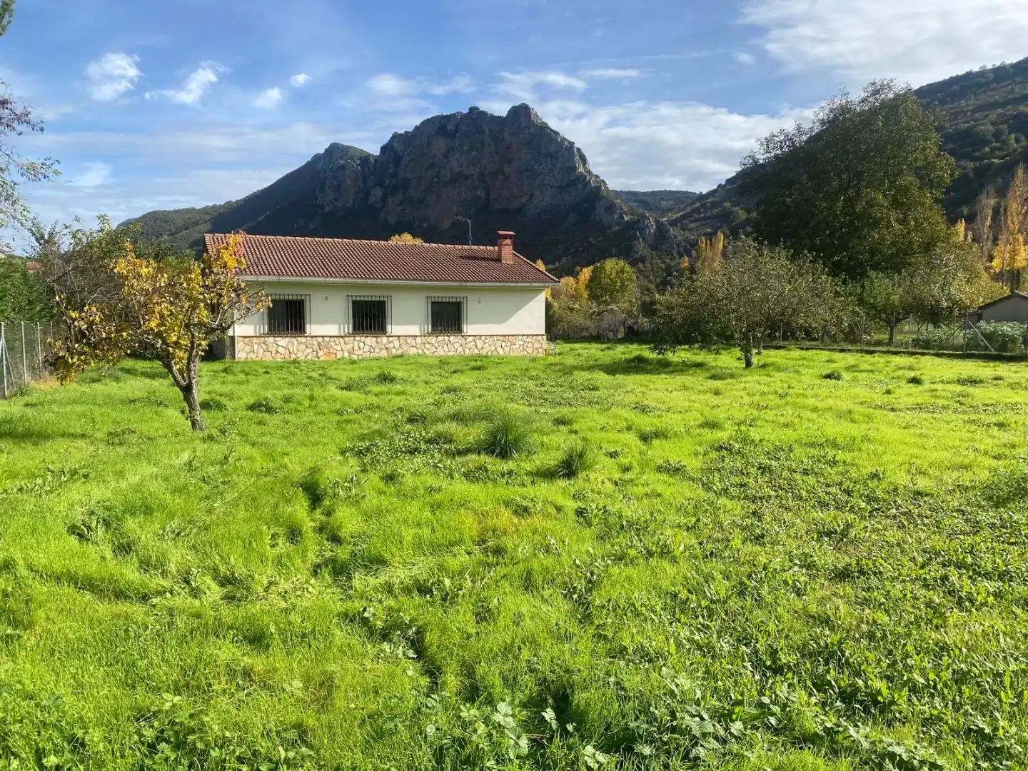 Xalet amb jardí en venda a Pedro Sagasta 48, imagen 26