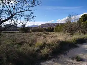 Finca rústica en venta en Alicante / Alacant con Piscina