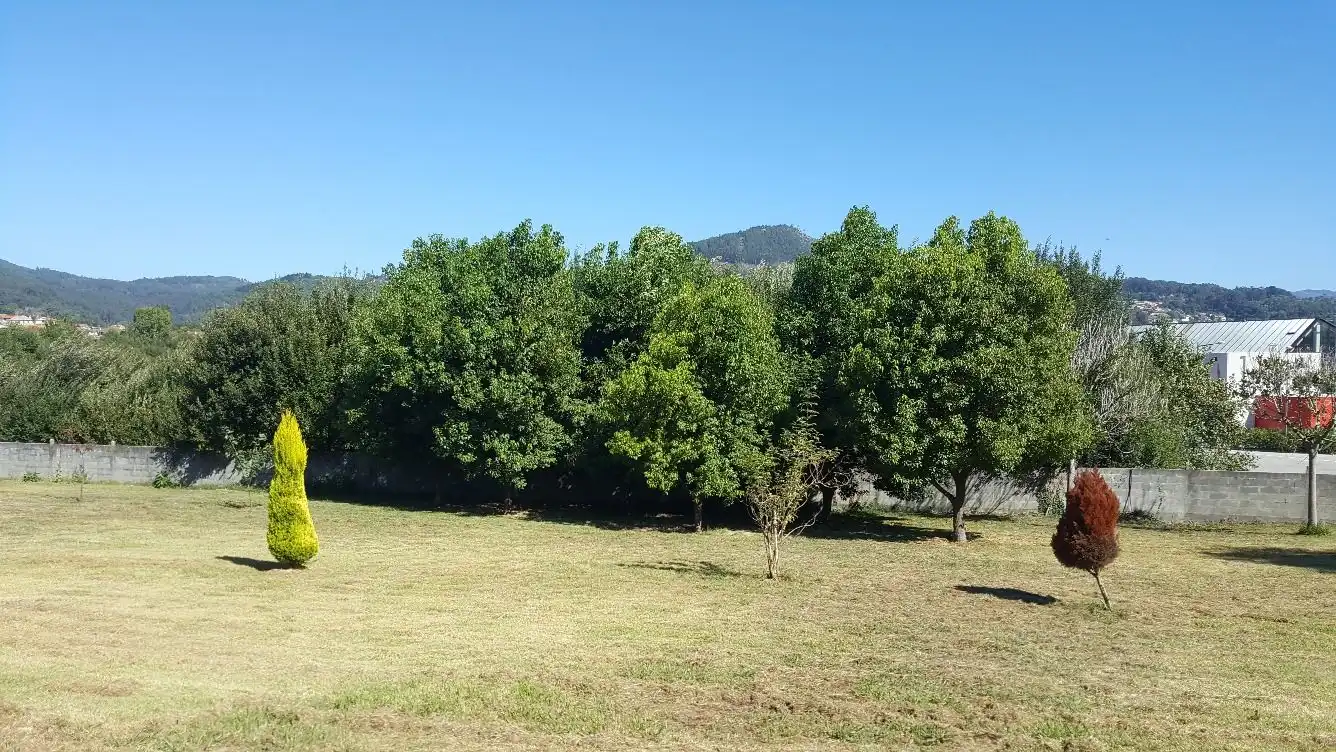 Finca rústica en venda a Panxón