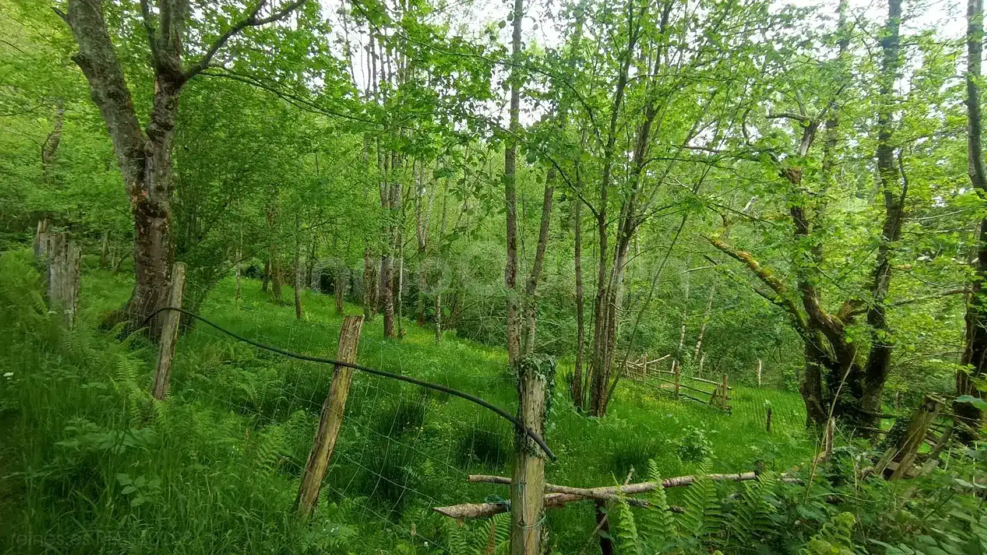 Finca rústica en venda en Cabrales amb Jardí privat