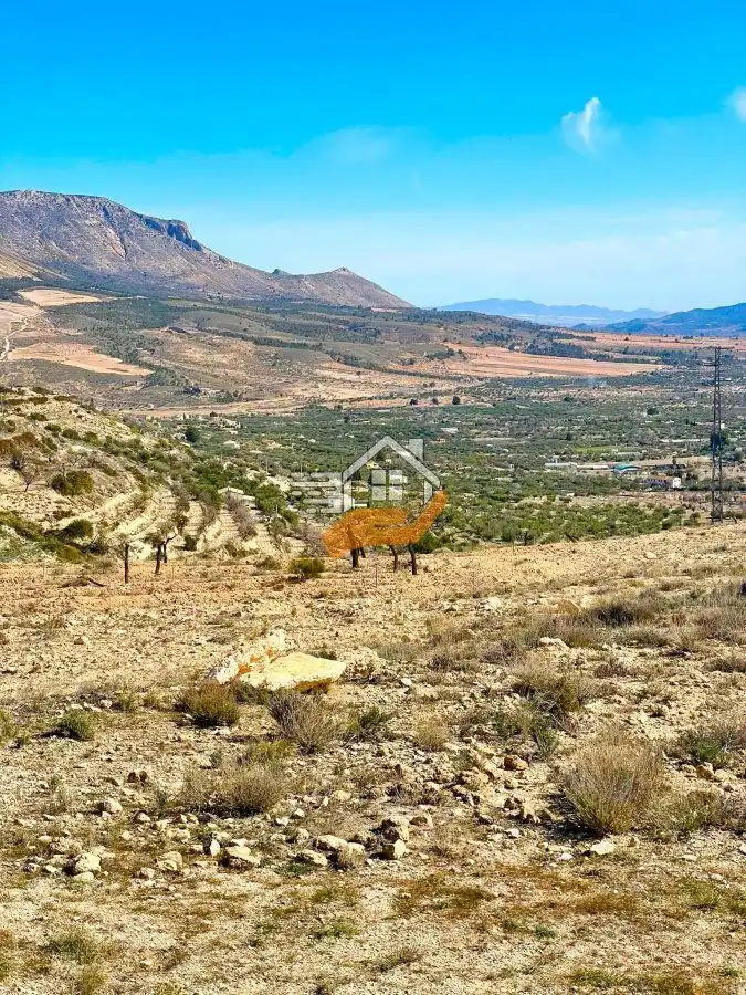 Terrenos y solares en venta en Vélez-Blanco, imagen 11