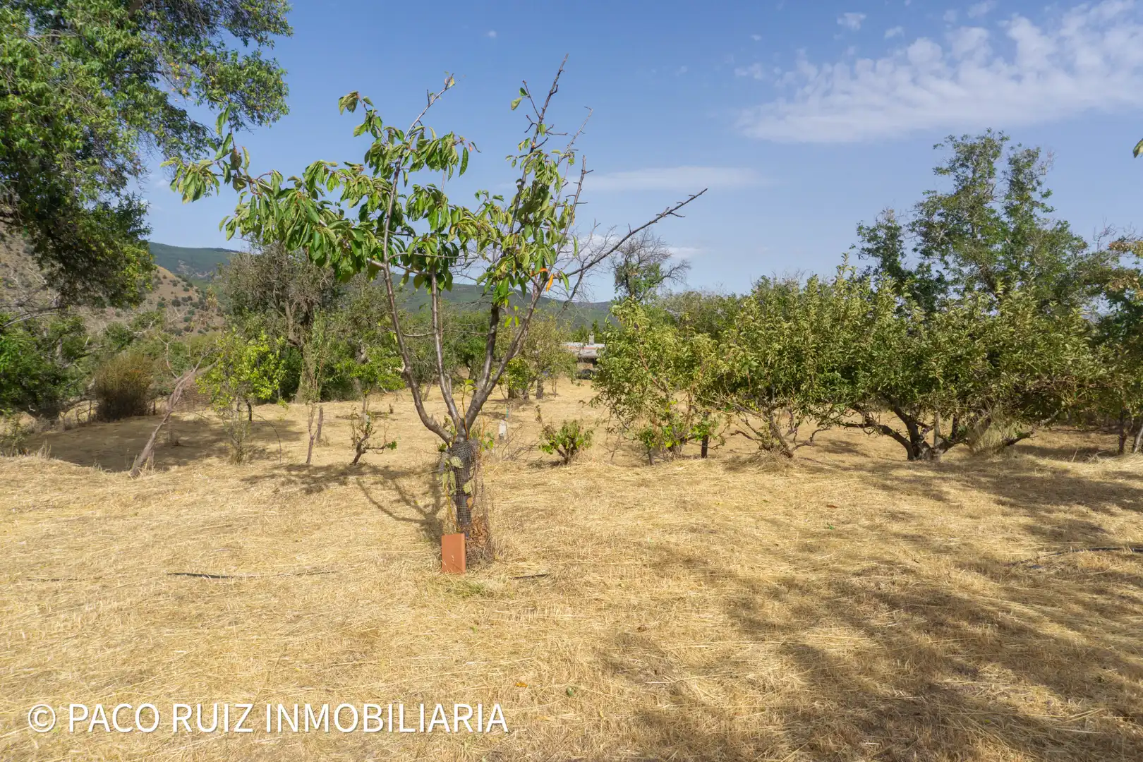 Landhaus mit Garten zum Verkauf in Abrucena, imagen 37