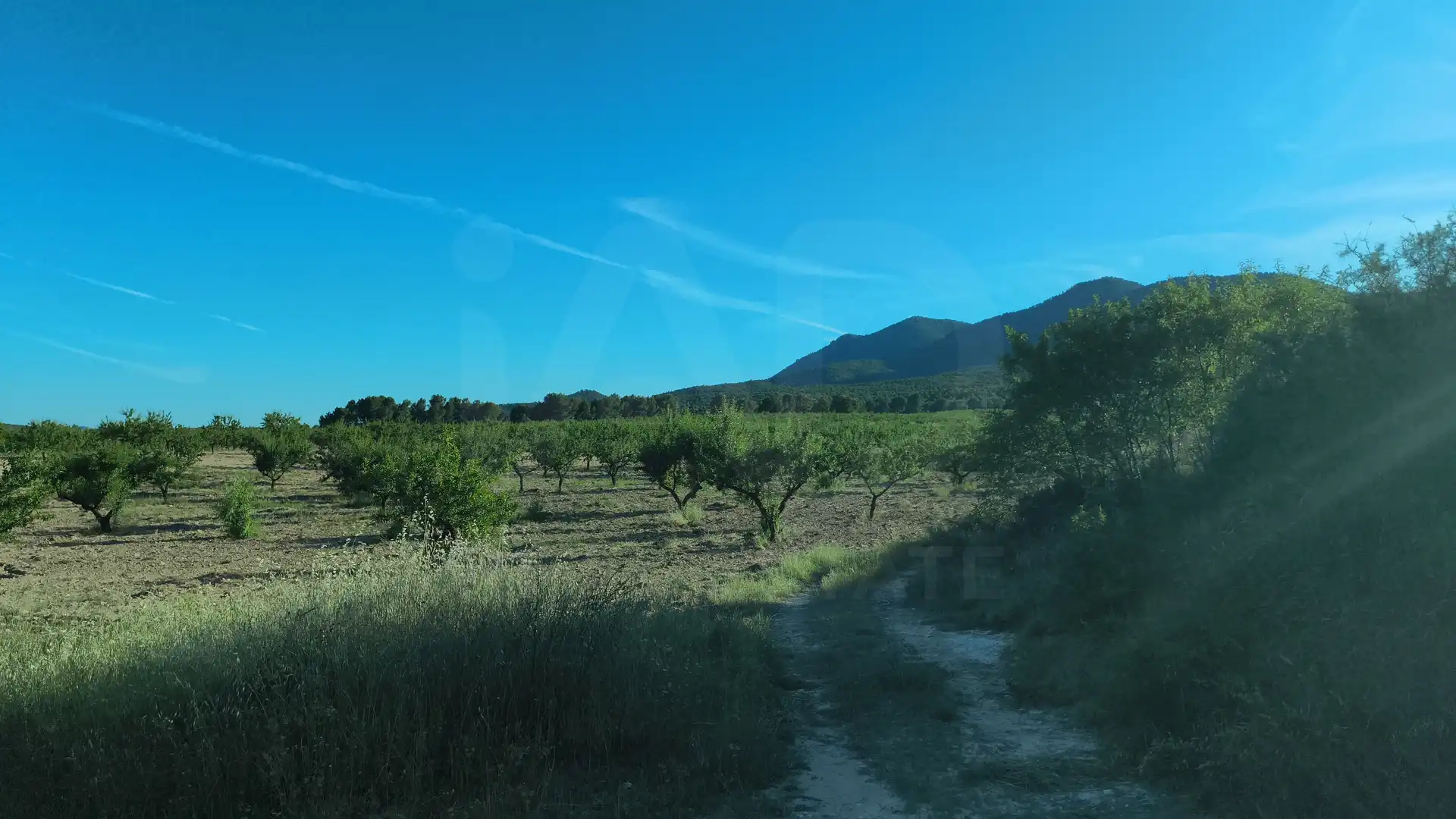 Terreno rustico in vendita a Moratalla, imagen 6