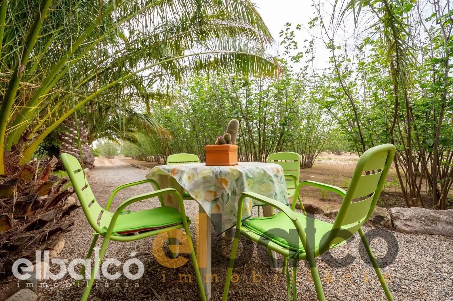 Terrace of Country homes for sale in Valls  with Terrace, Swimming Pool and Furnished