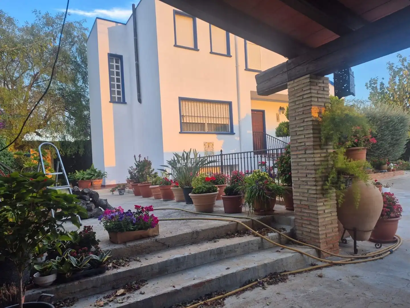 Jardí de Finca rústica en venda en Orihuela amb Jardí privat