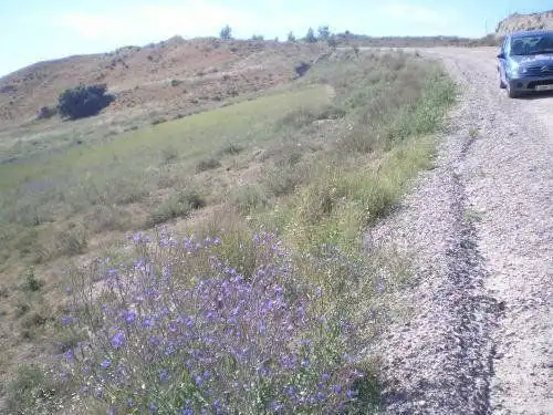 Terreno rustico in vendita a Polígono Polígono 8 Parcela 151 151, imagen 2