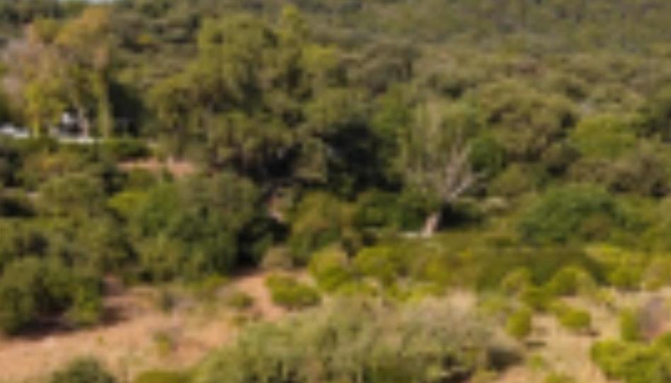 Foto 1 de Casa o xalet en venda a Calle Albanchez de Magina, 1, Renfe - Bulevar 1ª y 2ª Fase, Jaén