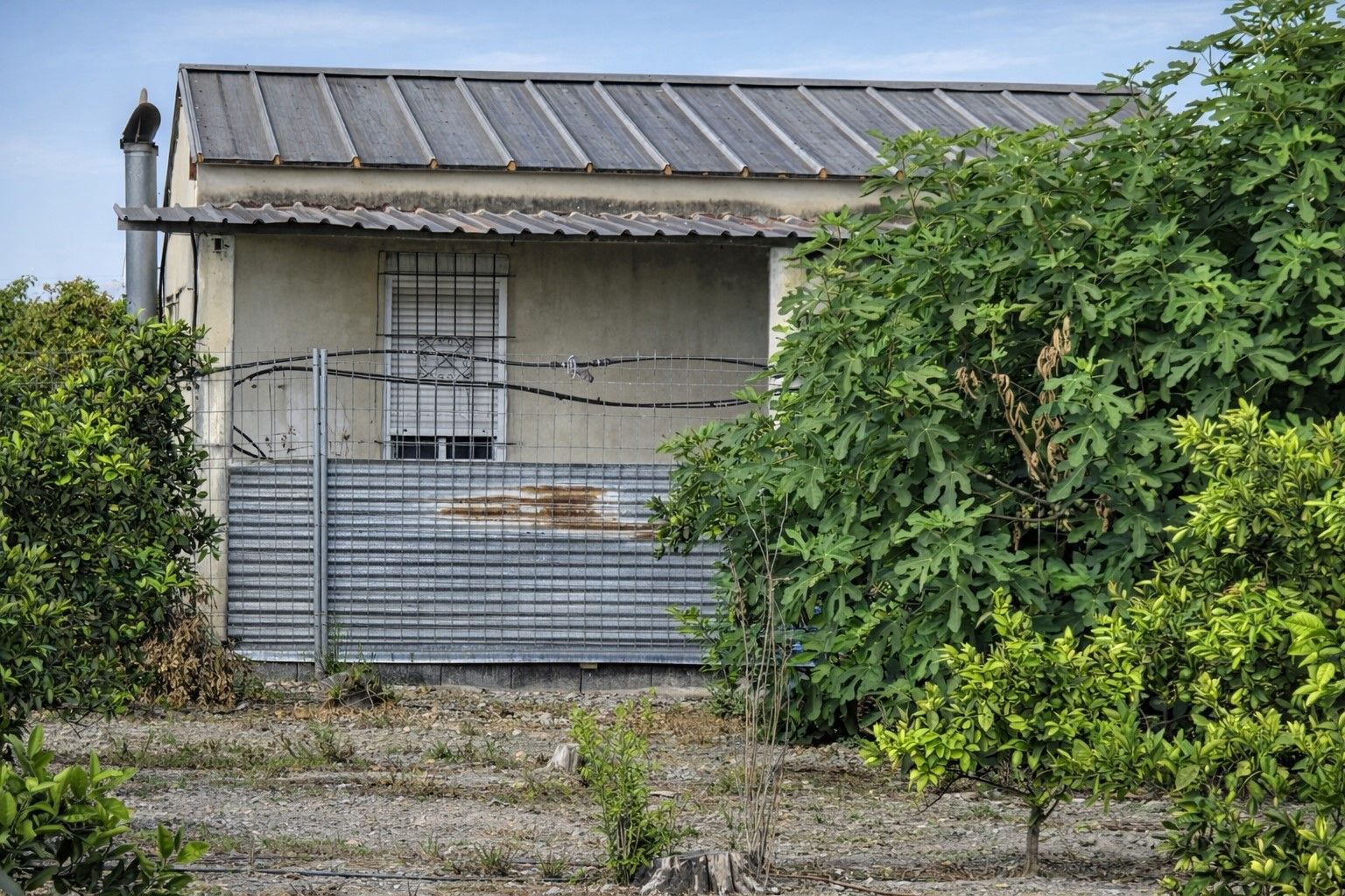 Finca rústica en venta en Senyera