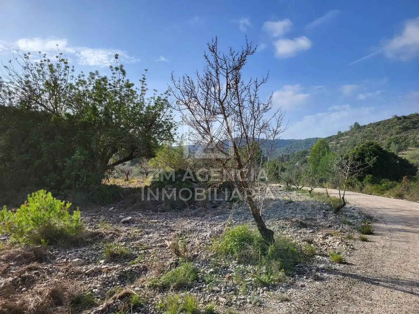 Rural land for sale in Cervera del Maestre, imagen 9