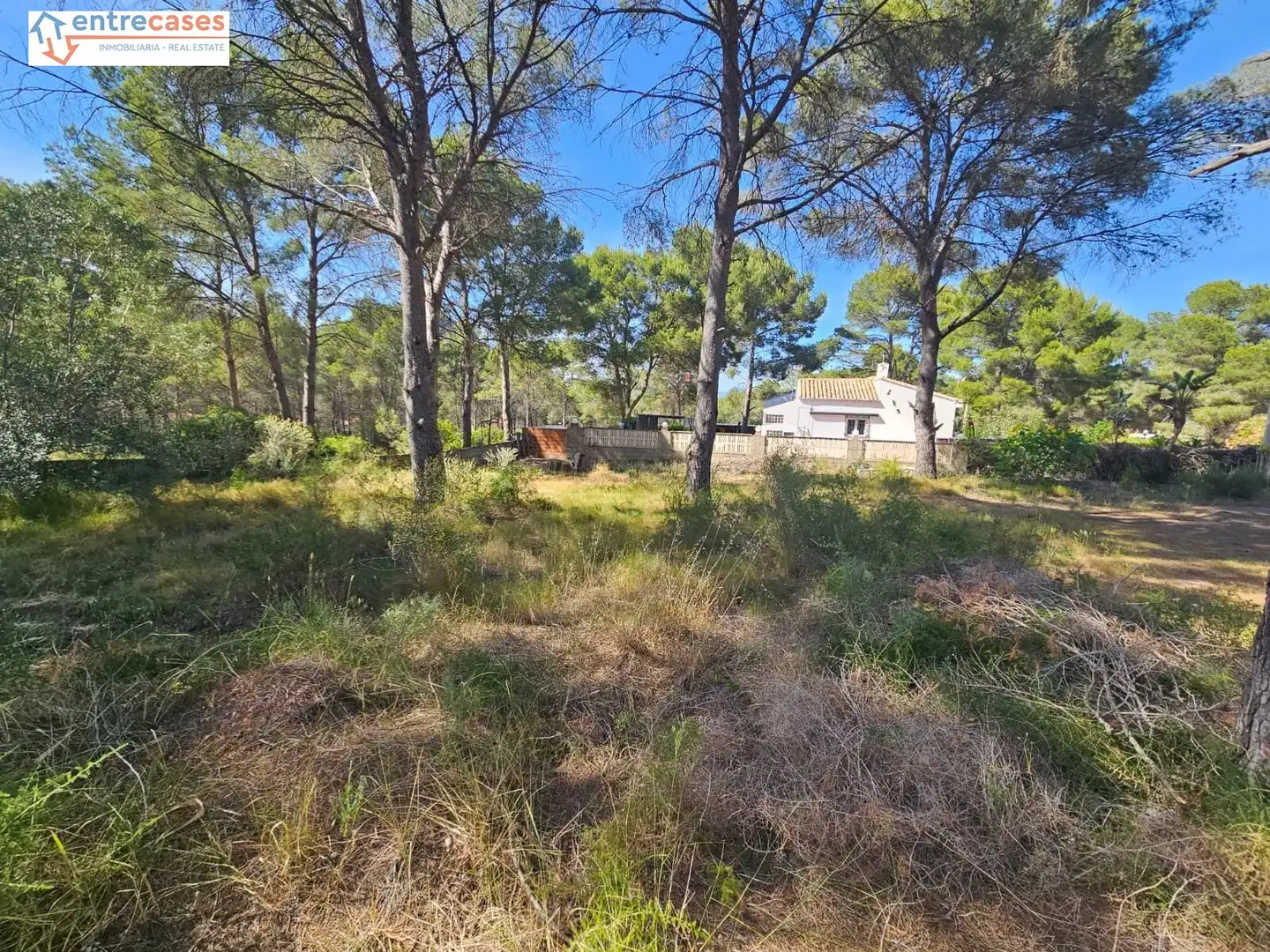 Residential land for sale in Gilet, imagen 19