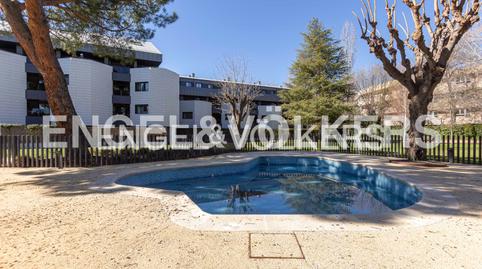 Photo 2 of Flat for rent in Molino de la Hoz, Las Rozas de Madrid