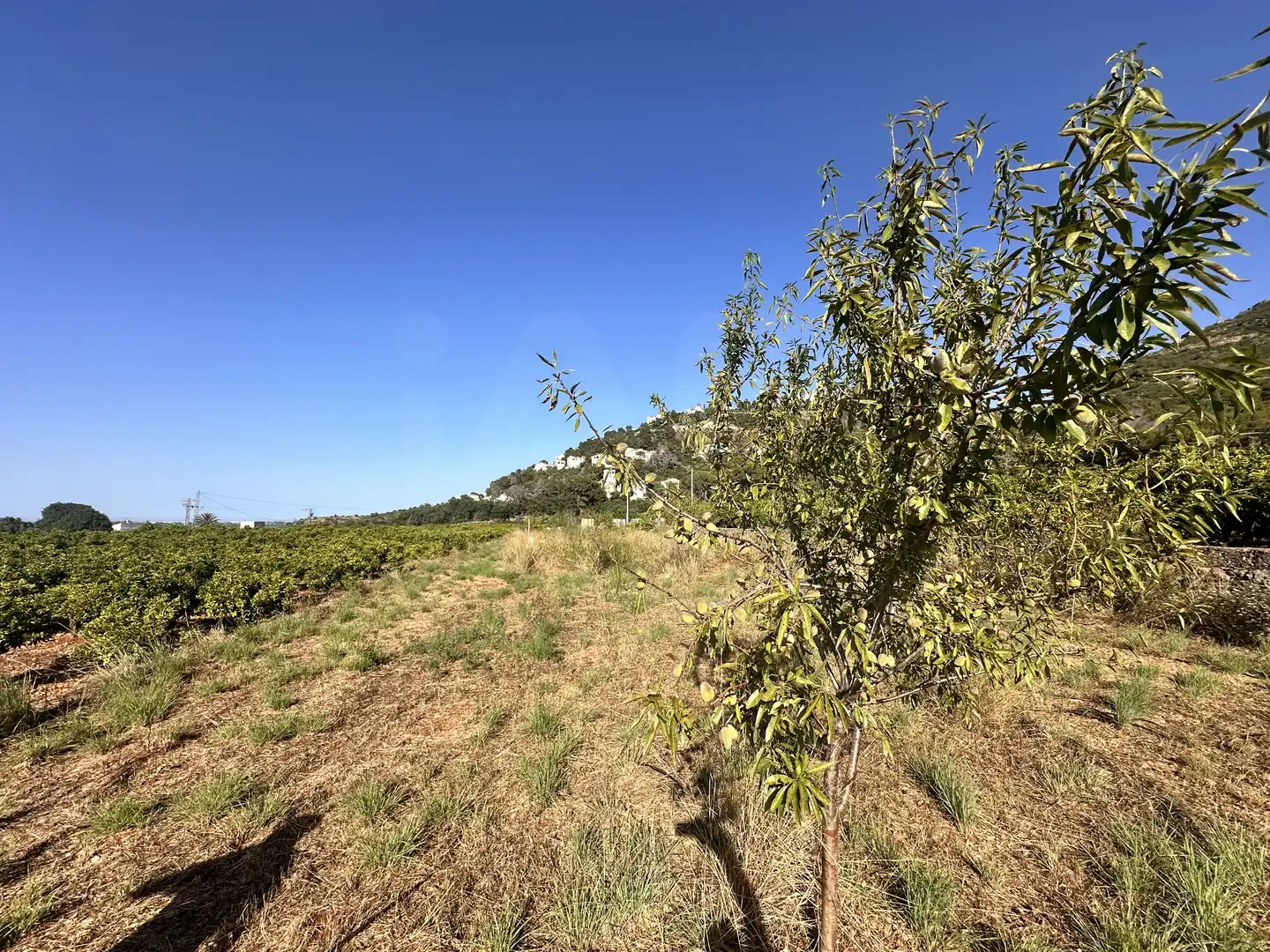 Terreno rustico in vendita a Pego, imagen 12
