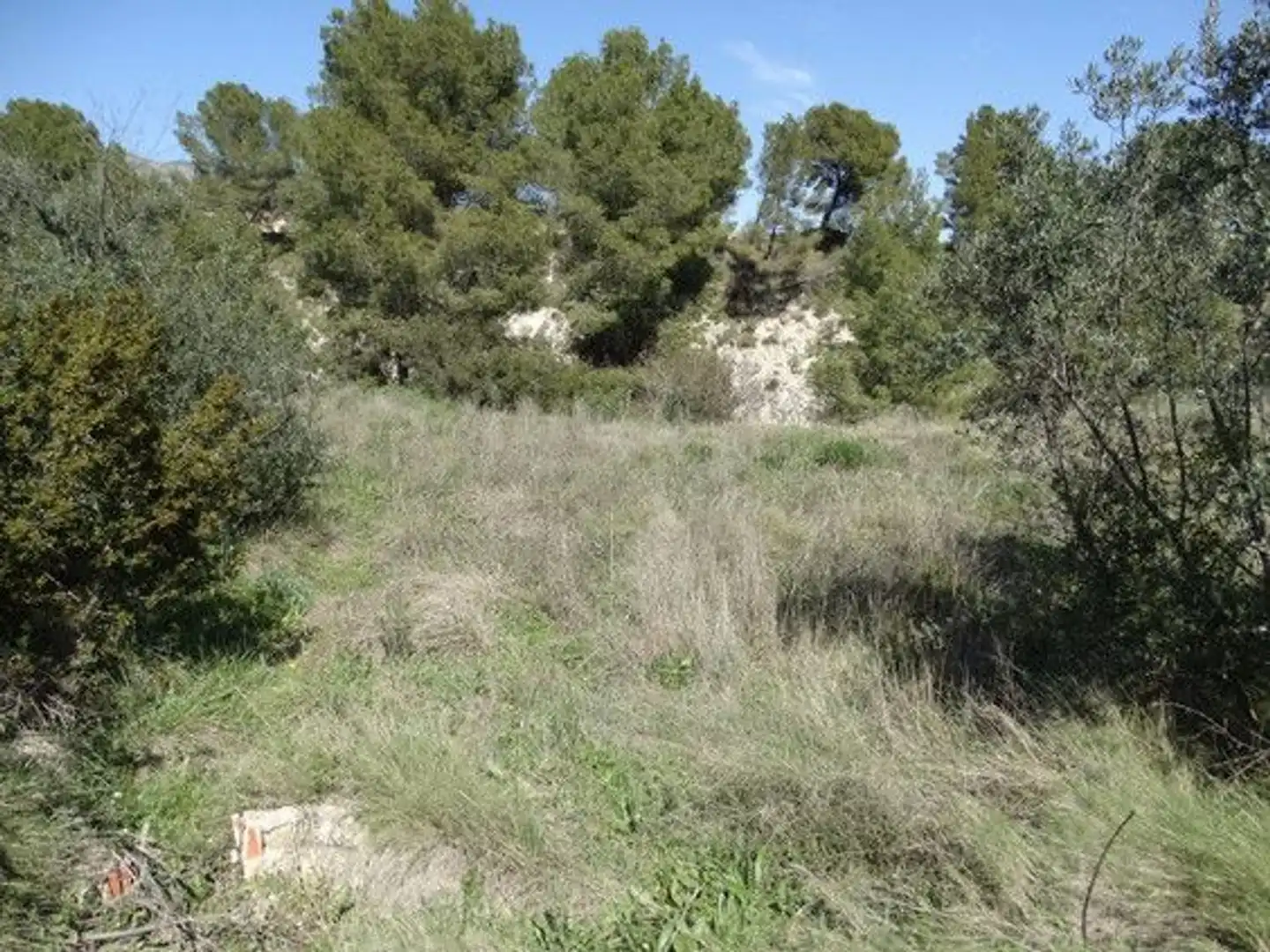 Terreny rústic en venda a Moratalla, imagen 5