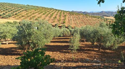 Foto 4 de Casa o xalet en venda a Casabermeja, Málaga
