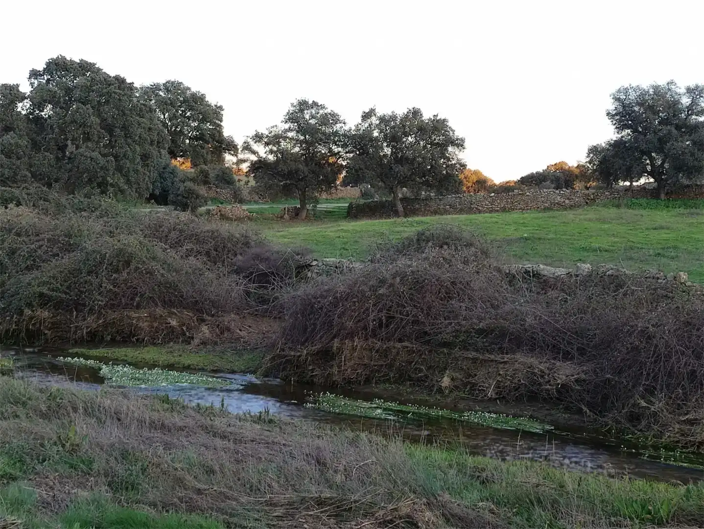 Piso en venta en Aldeanueva de San Bartolomé