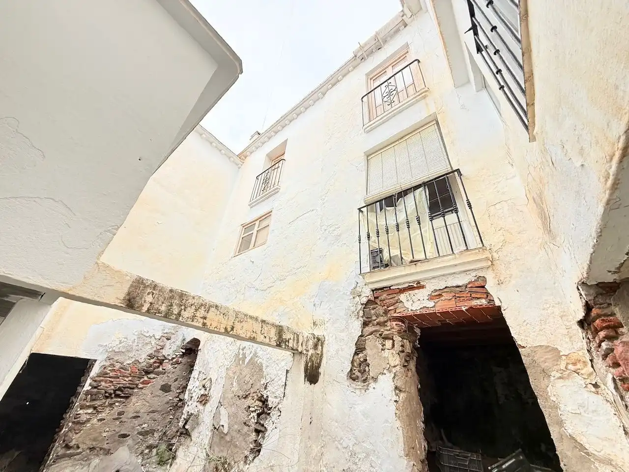 Vista exterior de Finca rústica en venta en Torrox