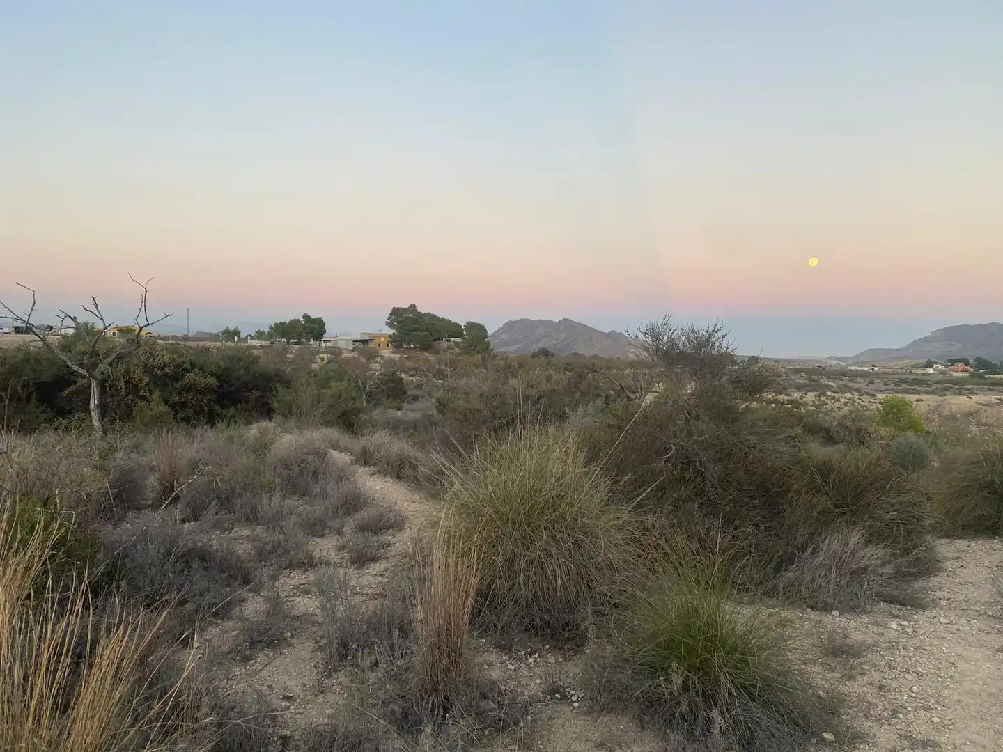 Land for sale in Camí de l'Alcoraia, 21, Cañada del Fenollar