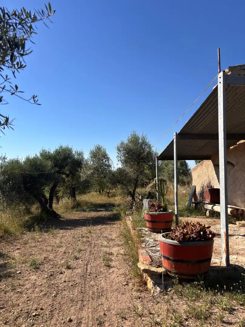 Rural land for sale in Tivissa, imagen 2