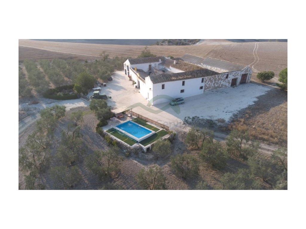 Garden of Country house for sale in Morón de la Frontera