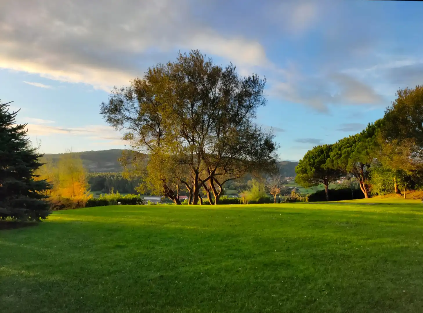 Jardí de Casa o xalet en venda en Ruiloba amb Calefacció, Jardí privat i Parquet