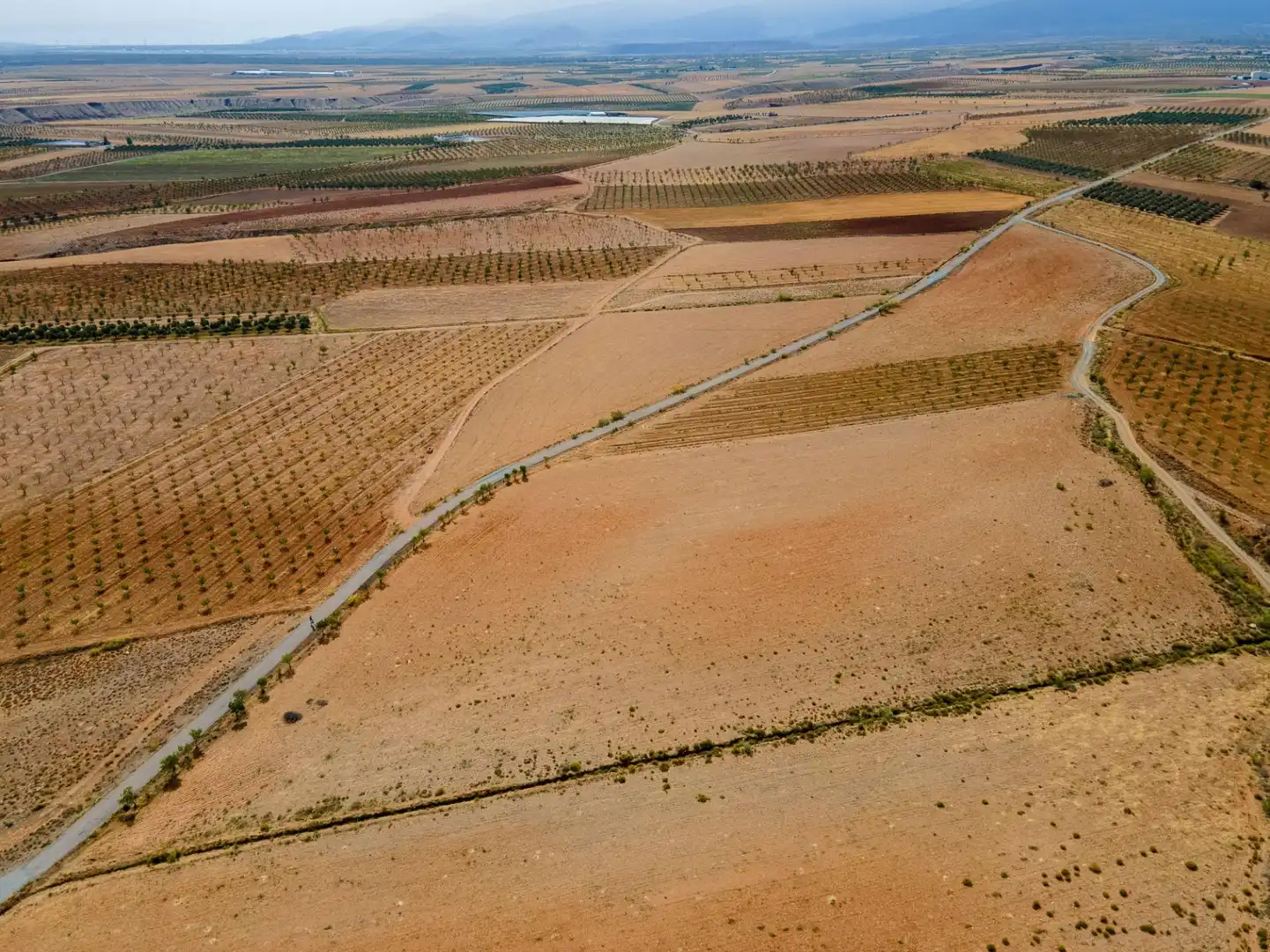 Vista exterior de Terreno en venta en Cogollos de Guadix