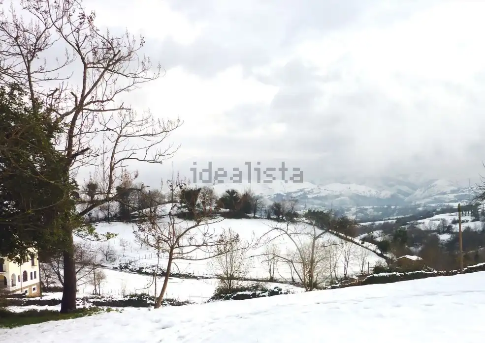 Casa con terrazza in vendita a Parres, imagen 41