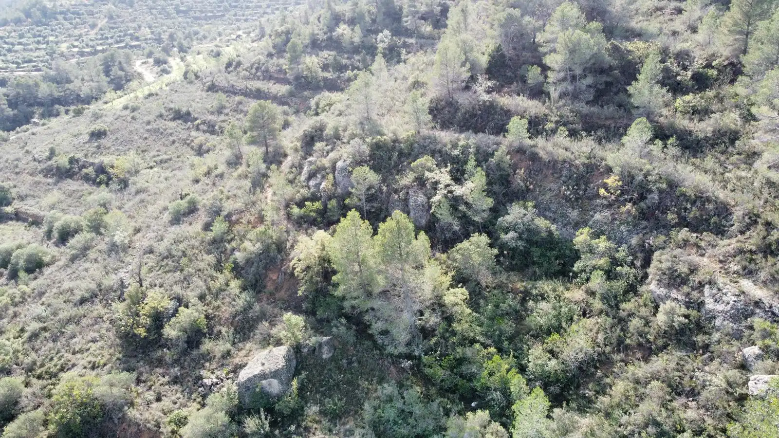 Terreno rustico in vendita a Cervià de Les Garrigues, imagen 36