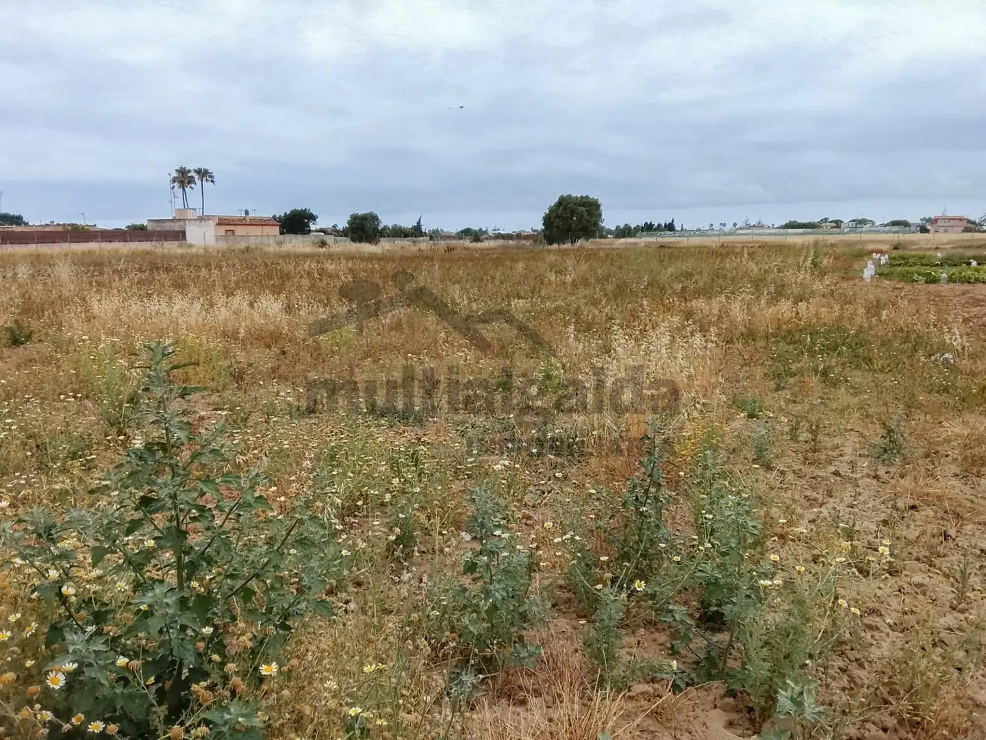 Terreni e lotti in vendita a Chipiona Norte