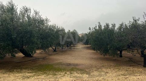 Foto 5 de Casa o xalet en venda a Jesús - Els Reguers, Tarragona