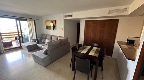 Foto 5 de Planta baixa de lloguer a Punta Prima, Alicante