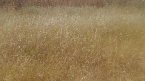 Photo 3 of Residential for sale in La Zarza (Badajoz), Badajoz