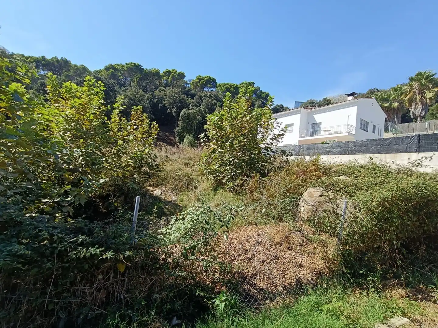Lands and plots for sale in CASTELL DOSRIUS 19, imagen 3