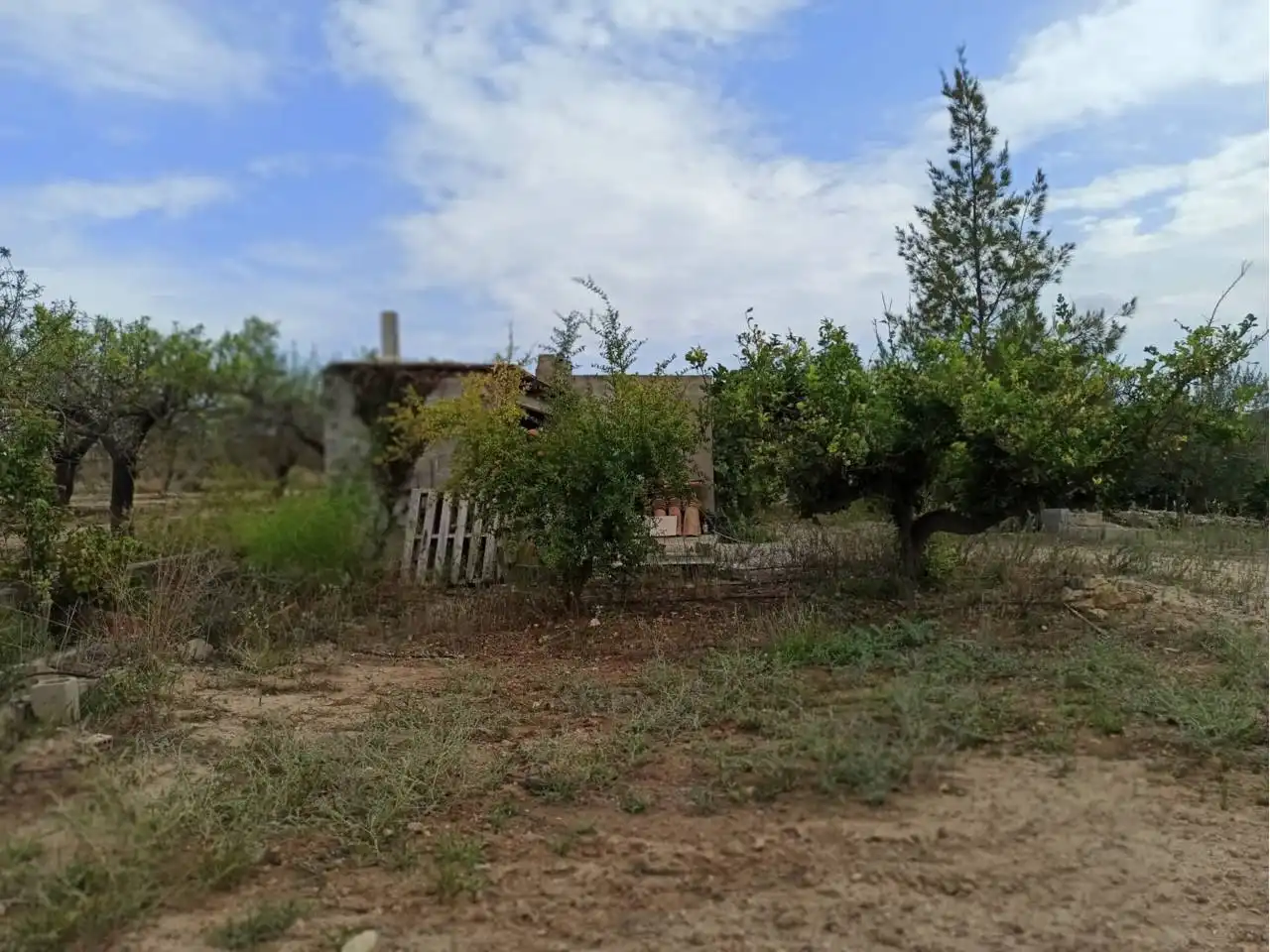 Terreno rustico in vendita a Cervera del Maestre, imagen 15