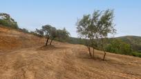 Residential for sale in Estepona