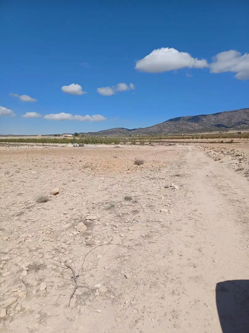 Terreny residencial en venda a El Pinós / Pinoso, imagen 9