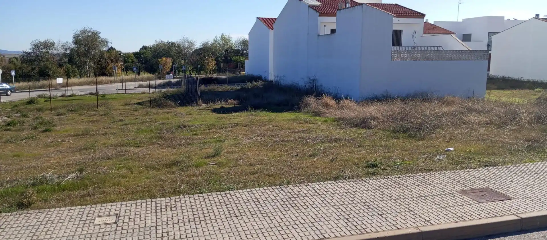 Terreni e lotti in vendita a Azuaga, imagen 6